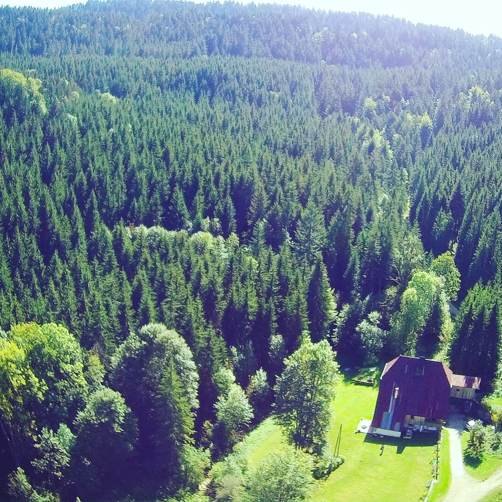 Ferme Theverot photo